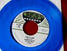 NORMAN FOX & THE ROB ROYS  THAT'S LOVE  RARE BLUE WAX  RAINY DAY   DOO WOP 45