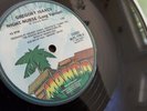 NM Gregory Isaacs – Night Nurse (1982) Mango – MLPS 7798 Vinyl, 12