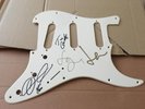 KASABIAN   -  FULLY  SIGNED     GUITAR SCRATCH PLATE   GENUINE  -  UACC