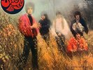 SPOOKY TOOTH 