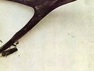 WISHBONE ASH 