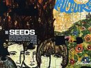 SEEDS 