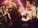 NEW YORK DOLLS 