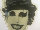 THE ADICTS PICTURE DISC VINYL LP.