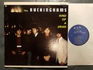 60's Rock LP THE BUCKINGHAMS Kind Of A Drag U.S.A. (USA, 1967)
