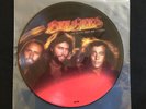 The Bee Gees- Spirits Having Flown- ltd. edition picture disc- RSO Records- 1978