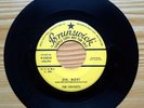 The Crickets/Buddy Holly USA Promo Single 