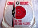 DORIS TROY   I'LL DO ANYTHING (HE WANTS ME TO DO) ** 1965 CAMEO PARKWAY 45