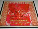THE EFFIGIES - For Ever Grounded LP 1984 EX Cond. Naked Raygun Fugazi Bad Brains