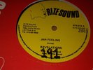 Revelations , Jah Feeling , With You Boy  ,12