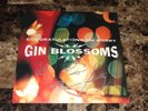 Gin Blossoms Band Signed Autographed Vinyl Record Congratulations I'm Sorry COA