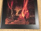 Echo And The Bunnymen Crocodiles Remastered Anniversary Edition UK LP.