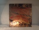 AC/DC - LP - T.N.T.(Gatefold) - 1975 - ALBERTS OZ copy