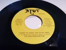 Holy Grail Soul - The Pro Fascination - Try love again - I want to wrap you