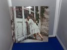 Violent Femmes Vinyl Album