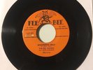 THE DEL VIKINGS FEE BEE FB-214 WHISPERING BELLS VERY RARE 1957 DOO WOP 45
