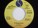 Punk 45 UNDERTONES Teenage Kicks SIRE VG++/VG+ promo HEAR