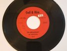 The Debutantes-On Broadway/Little Latin Lupe Lu-Gail Rice-Rare-Detroit Garage 45