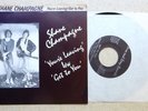 SHANE CHAMPAGNE: Get To You 45 Pure And Easy powerpop hear