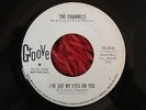 THE CHANNELS - I've Got My Eyes on You, 1964, Promo