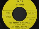 LA SONORA TROPICAL: Tierra Borincana / El Merengue Tropical 45 Hear  ('76)