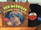 VAN MORRISON: Blowin' Your Mind, Bang Records, 1st, OOP LP