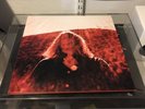 Ty Segall - Manipulator 2x Transparent Red Vinyl LP NEVER PLAYED