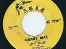 MN Garage / Surf Instro Keith Zeller AGAR 7126 Carry Mae / Yellow bird ?