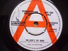 The Rivingtons - The Bird's The Word - 1963 UK Promo