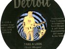 SCOTT MORGAN RATIONALS TAKE A LOOK MICHIGAN GROUP GARAGE ROCK  45 RPM