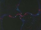 ORB, The - No Sounds Are Out Of Bounds - Vinyl (2xLP)