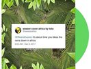 WEEZER - AFRICA - GREEN VINYL LP 7“