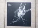 SIGUR ROS - ROUTE ONE LIMITED EDITION VINYL L.P  RSD 2018 1000 ONLY