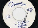 Richard Fields & Music Band - Hey Girl (You Don't Light My Fire-PA 60s Garage 45