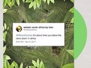 Weezer Africa Limited Edition /1500 Green Vinyl SOLD OUT Toto Rosanna UO