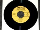 RARE POPCORN EXOTICA 45 THURL RAVENSCROFT-DR GEEK /I'LL PAY AS I GO AARDELL HEAR