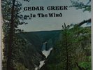 Cedar Creek - In The Wind LP - Private Folk Rock VG+ MP3