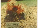 J.B. Lenoir - S/T LP - Polydor VG+