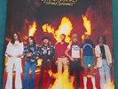 Audiophile MFSL LP Lynyrd Skynyrd:  