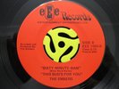 MODERN SOUL 45-Embers-This Bud's For You/I Love Budweiser-Eee-1002 Ep Vg+ HEAR