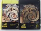 Moody Blues A Question of Balance Q8 Quadraphonic 8-Track Tape w Sleeve