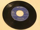 ROCKABILLY EDDIE SKELTON Rebels Retreat DIXIE STARDAY CUSTOM 2015