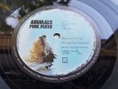 PINK FLOYD ANIMALS ORIGINAL 1977 UK Press MUSEUM TWO PLAY COPY LP