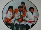 The Beatles Yesterday And Today Butcher & Trunk Cover Picture Disc LP