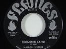 Nairobi Sisters 