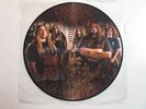 CANNIBAL CORPSE A SKELETAL DOMAIN 2014 METAL BLADE PICTURE DISC LP PRE-OWNED OOP
