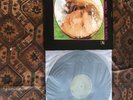 Van Morrison - Astral Weeks [ Vinyl] 180 Gram