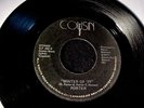 PORTER Giving Up Disco Girls /Winter Of '77 RARE OHIO MODERN SOUL 45 Cousin HEAR