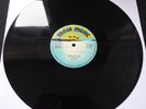 BO KOOL (Money) No Love FUNK MASTERS TANIA MUSIC 1980 UK VINYL 12” DISCO 1981