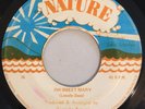 LINCOLN BROWN - OH SWEET MARY - NATURE ( RARE REGGAE 7 )